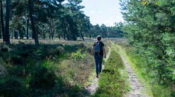 10.000 stappen: hoeveel kilometer is dat eigenlijk?