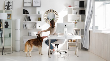 Wat zijn de beste manieren om aan je bureau calorie�n te verbranden?