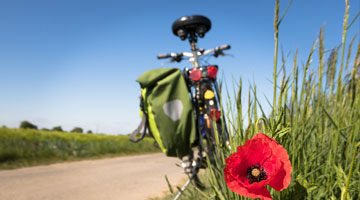 Hoeveel calorie�n verbruik je op een elektrische fiets?