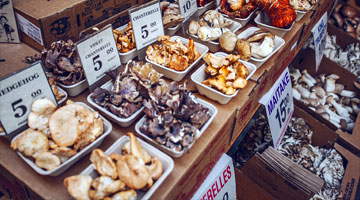 Een voedzame en vegetarische sportmaaltijd met de umami-rijke porcini